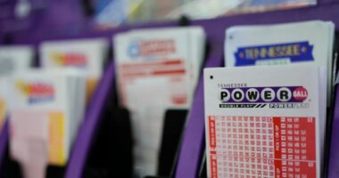 Better luck next time: Powerball climbs to $1.5 billion
