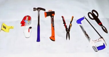 Bloodied hacksaw Brian Walshe used to chop up wife revealed