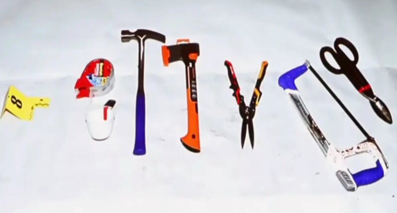 Bloodied hacksaw Brian Walshe used to chop up wife revealed