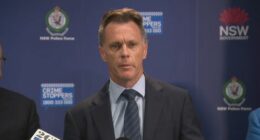 NSW Premier Chris Minns.