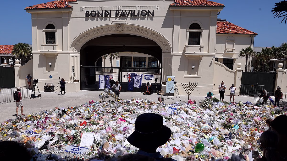 Bondi massacre survivor suggests punishment EVERY Aussie can dole out to the killers - following New Zealand's lead