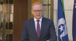 Bondi terror attack heroes to be recognised in special honours list