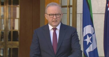 Bondi terror attack heroes to be recognised in special honours list