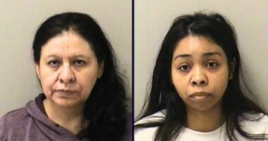 Boy, 7. weighed 14 pounds after 'horrendous' neglect: DA