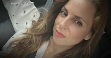 Brian Walshe murder case: Testimony at trial details affair wife Ana was having before she vanished