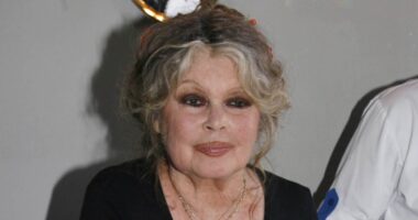 Brigitte Bardot, Former French Actress And Animal Activist, Dead At 91