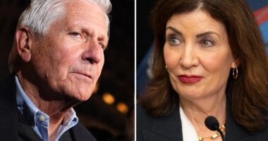 Bruce Blakeman is right about ‘toxic’ battery farms — and the 'need' is purely Gov. Hochul's fault