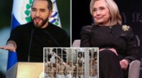 Bukele challenges Hillary Clinton to take El Salvador's entire prison population after criticism
