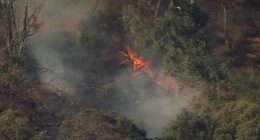 Part's of Perth's CBD have also been hit by bushfires, and experts warn conditions could make fires even worse.