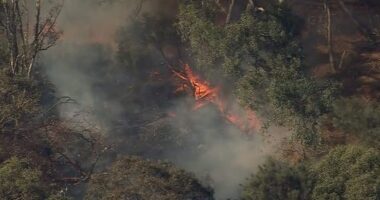 Part's of Perth's CBD have also been hit by bushfires, and experts warn conditions could make fires even worse.