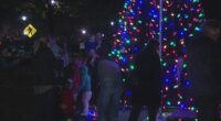 Augusta University celebrates 25th annual Christmas Tree Lighting with new tree