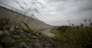 Can Trump End Birthright Citizenship? Supreme Court Says It Will Decide