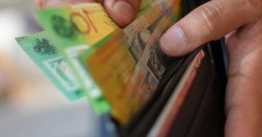 The federal government will introduce legislation to protect the use of cash.