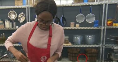 Celebrity MasterChef viewers stunned as they claim   to see a mouse