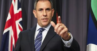 Treasurer Dr Jim Chalmers during a press conference at Parliament House in Canberra on Monday 8 December 2025. fedpol Photo: Alex Ellinghausen