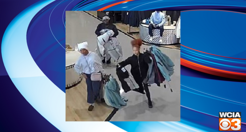 Champaign Co. Crime Stoppers needs help identifying suspects in $3K Dick’s theft