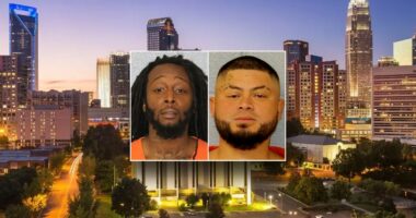 Charlotte prioritizes $3.4M transit marketing blitz over safety after recent stabbings, GOP chair says