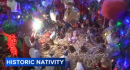Chicago Christmas: Nativity scene passed down through generations draws crowds to Fluvia Reyes' home in Hollywood Park