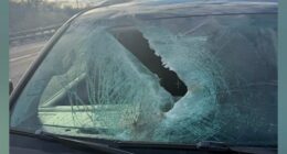 Chicago crash: Woman injured after concrete crashes through windshield on I-55, daughter says: 'Just horrifying'