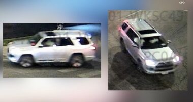 Chicago crime: $1,000 reward offered after Jermaine Martin killed in Gage Park hit-and-run on South Kedzie Avenue, officials say