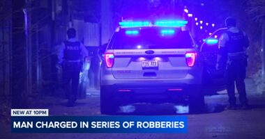 Chicago crime: Marquis Terry charged in kidnapping; alert issued for robberies in Little Village, Humboldt Park, Logan Square
