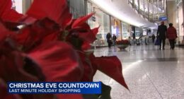Christmas Eve 2025: Chicago holiday shopping on Magnificent Mile, Christkindlmarket packed