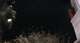 Christmas in the Boro held after rain postponement