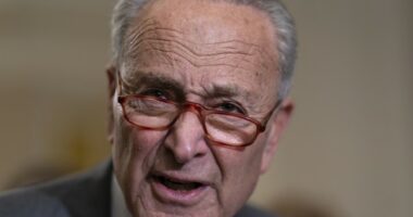 Chuck Schumer Claims ‘MAGA’ Sent Bomb Threats to His NY Offices