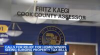 Cook County Assessor Fritz Kaegi, Board of Review blame each other for skyrocketing Chicago property tax bills