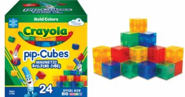Crayola building cubes recalled over magnet ingestion risk