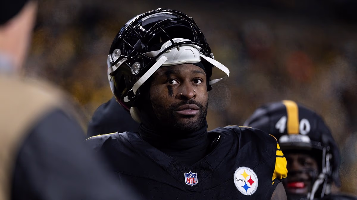 DK Metcalf's suspension could cost him an eye-watering $45million after the Steelers star swung at rival fan