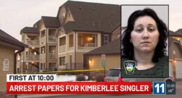 DNA found on bloody gun used to kill 2 children belonged to mom who fled the country after murders: Authorities