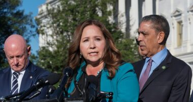 Deputy ICE Dir. Has a Damning Question for Voters After Another Democrat 'Interferes' With Agents