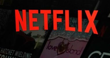 Director convicted of scamming $16.5m from Netflix and going on spending spree
