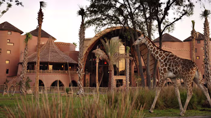 Disney World property employee accused of stealing hundreds of dollars using guest’s checks