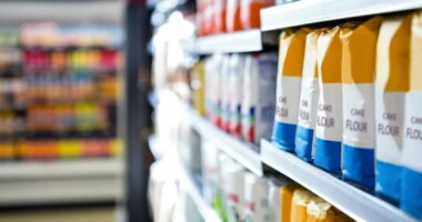 Dog food sold in 14 states recalled over possible plastic contamination