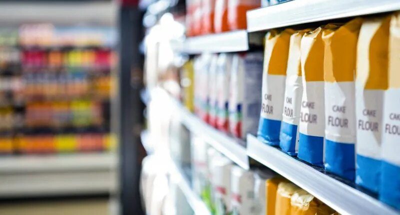 Dog food sold in 14 states recalled over possible plastic contamination