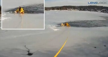 Dog stranded in middle of frozen NJ lake saved by daring police officer