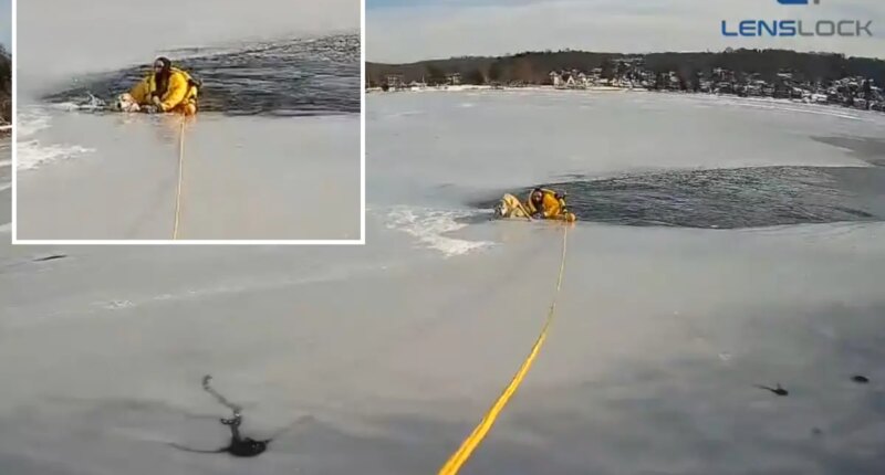 Dog stranded in middle of frozen NJ lake saved by daring police officer
