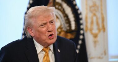 Donald Trump loses it as he claims TV presenter should be 'put to sleep'