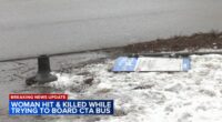 Driver cited for CTA bus crash that killed Tracy Frasure in 7000-block of South South Shore Drive in South Shore: Chicago police