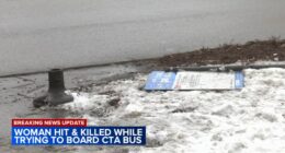 Driver cited for CTA bus crash that killed Tracy Frasure in 7000-block of South South Shore Drive in South Shore: Chicago police