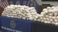 Drugs found hidden in blackberry shipments in massive meth bust in Georgia