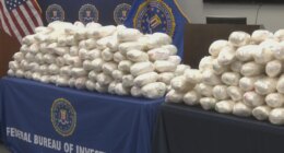 Drugs found hidden in blackberry shipments in massive meth bust in Georgia