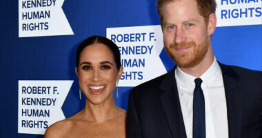 Duke and Duchess of Sussex 'sat on the floor' as their beloved dog underwent surgery