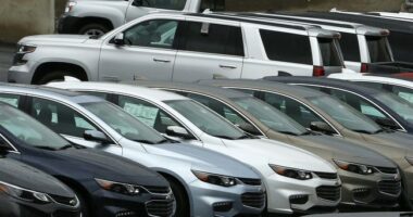 Eight Busted in Michigan's New Stolen Auto Export Scandal