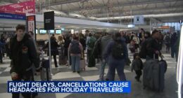 'El Chapo' son Joaquin Guzman Lopez pleads guilty in Chicago in drug trafficking case