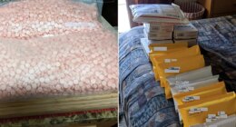 Elderly Texas woman learns fate for distributing 150,000 doses of fentanyl through the mail