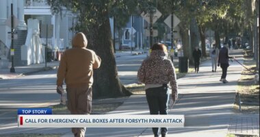 Emergency call boxes could be coming to Savannah's public parks after acid attack