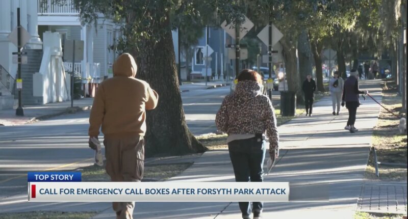 Emergency call boxes could be coming to Savannah's public parks after acid attack
